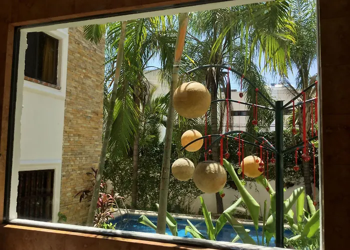 Golondrinas 4*