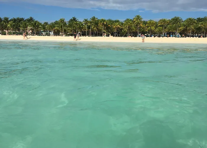 Golondrinas Playa del Carmen